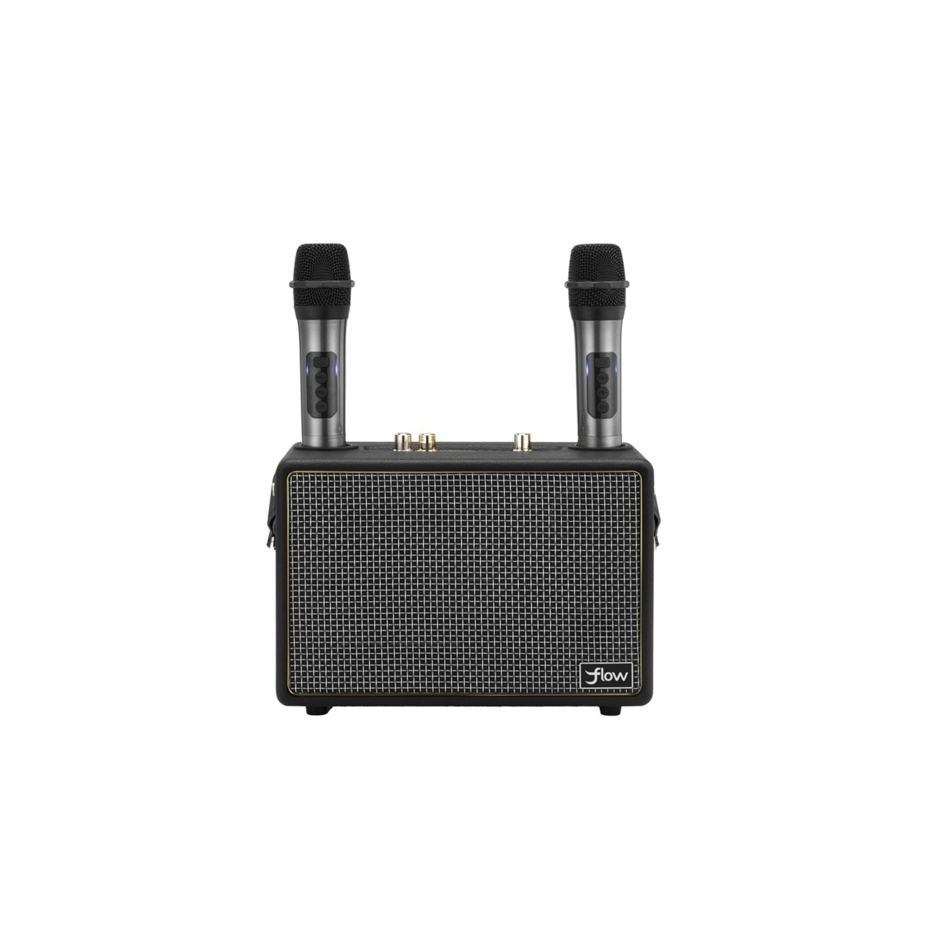 Wireless Karaoke Speaker with 2 Microphones - Black