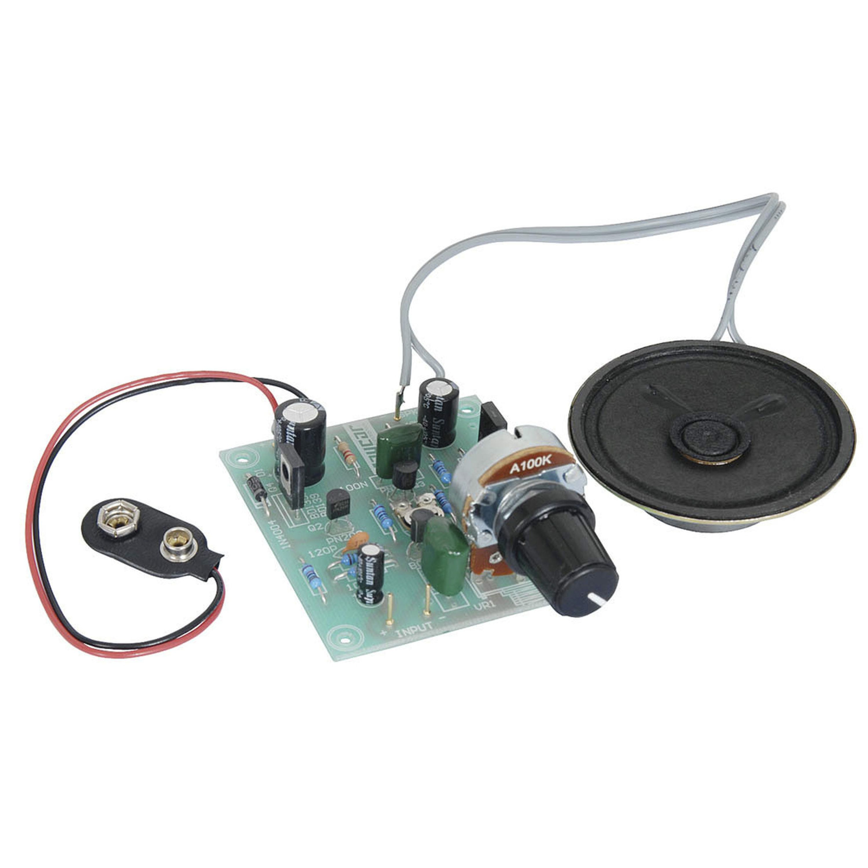 Short Circuits Two Project - No Brainer Amplifier