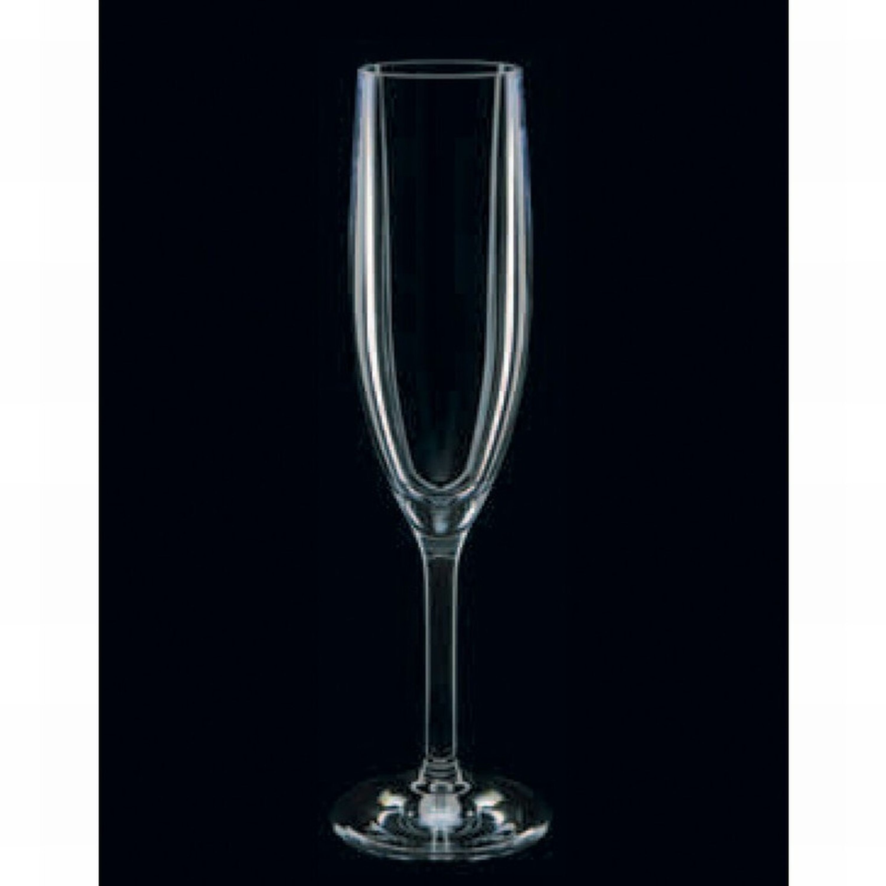 Strahl Polycarbonate Champagne Flute166mL